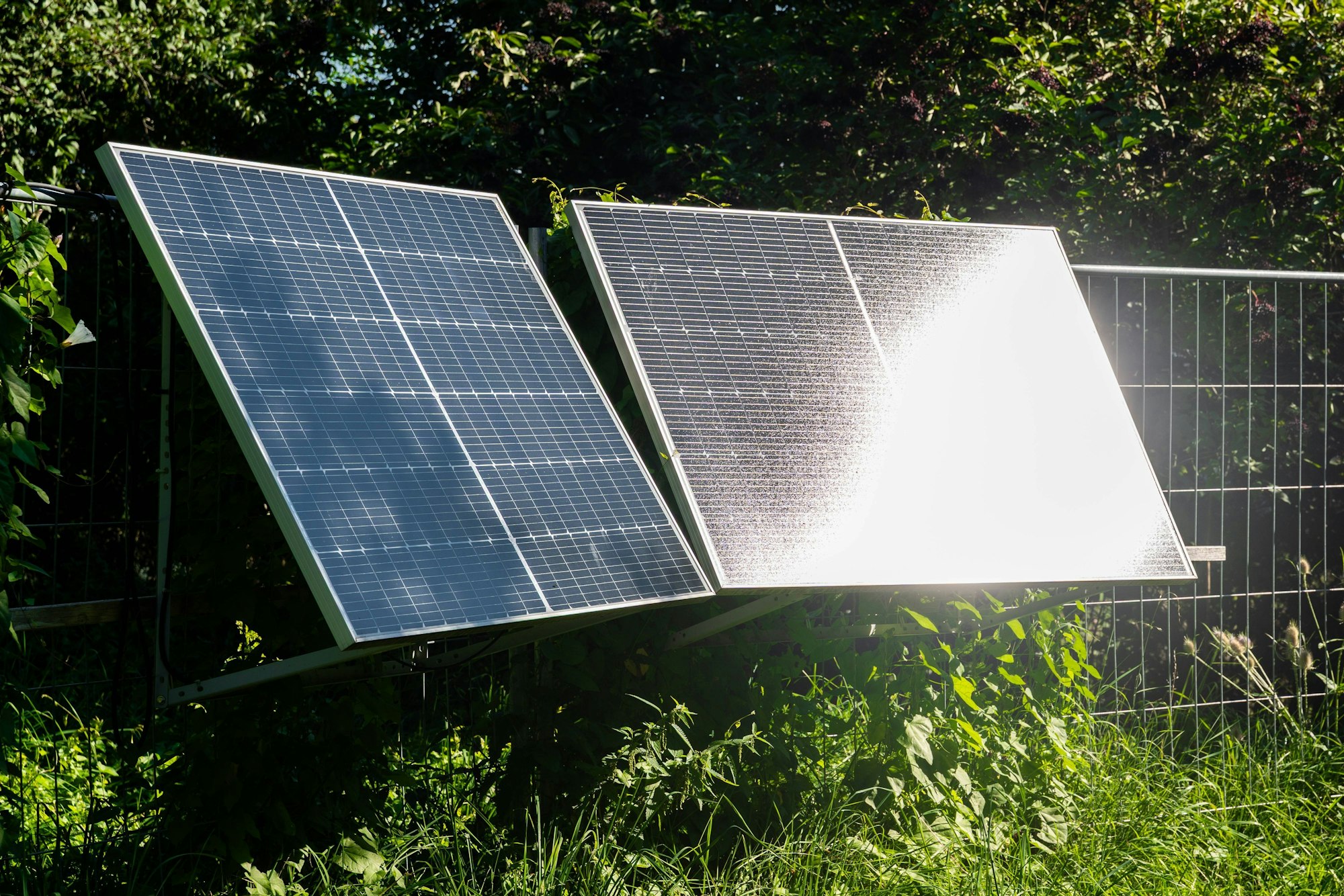 Zwei Solarmodule in grüner Umgebung bei Sonne.