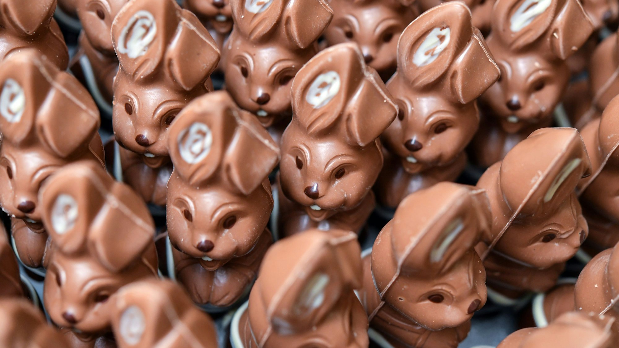Viele Schokoladenosterhasen stehen im Schokoladenland der Confiserie Felicitas.