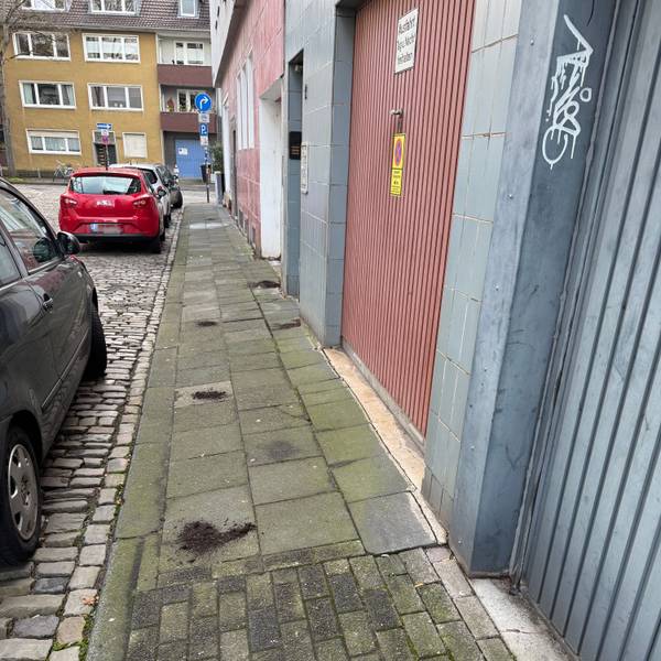 Das Bild zeigt die Spinnmühlengasse, in der Anwohner Kot mit Erde überschüttet haben. Bild: Steffi K.