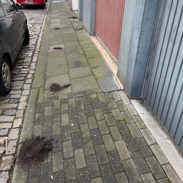 Das Bild zeigt die Spinnmühlengasse, in der Anwohner Kot mit Erde überschüttet haben. Bild: Steffi K.