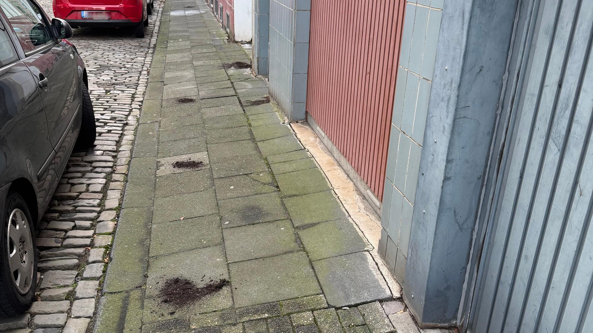 Das Bild zeigt die Spinnmühlengasse, in der Anwohner Kot mit Erde überschüttet haben. Bild: Steffi K.