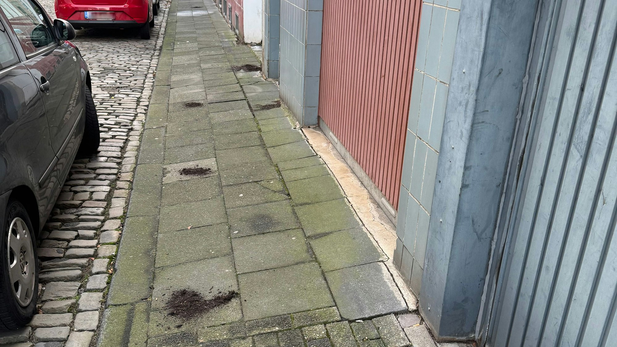 Das Bild zeigt die Spinnmühlengasse, in der Anwohner Kot mit Erde überschüttet haben. Bild: Steffi K.