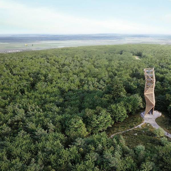 Das Bild zeigt den Turm inmitten der bewaldeten Sophienhöhe.