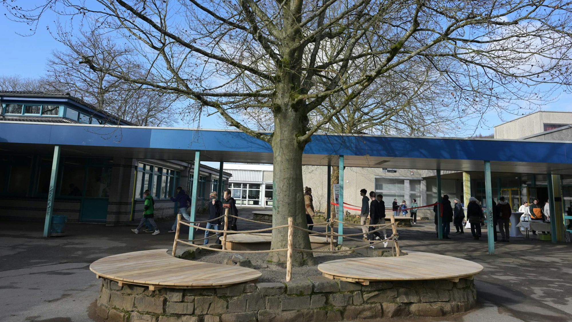 Eine hölzerne Sitzplattform rund um einen großen Baum auf einem Schulhof.