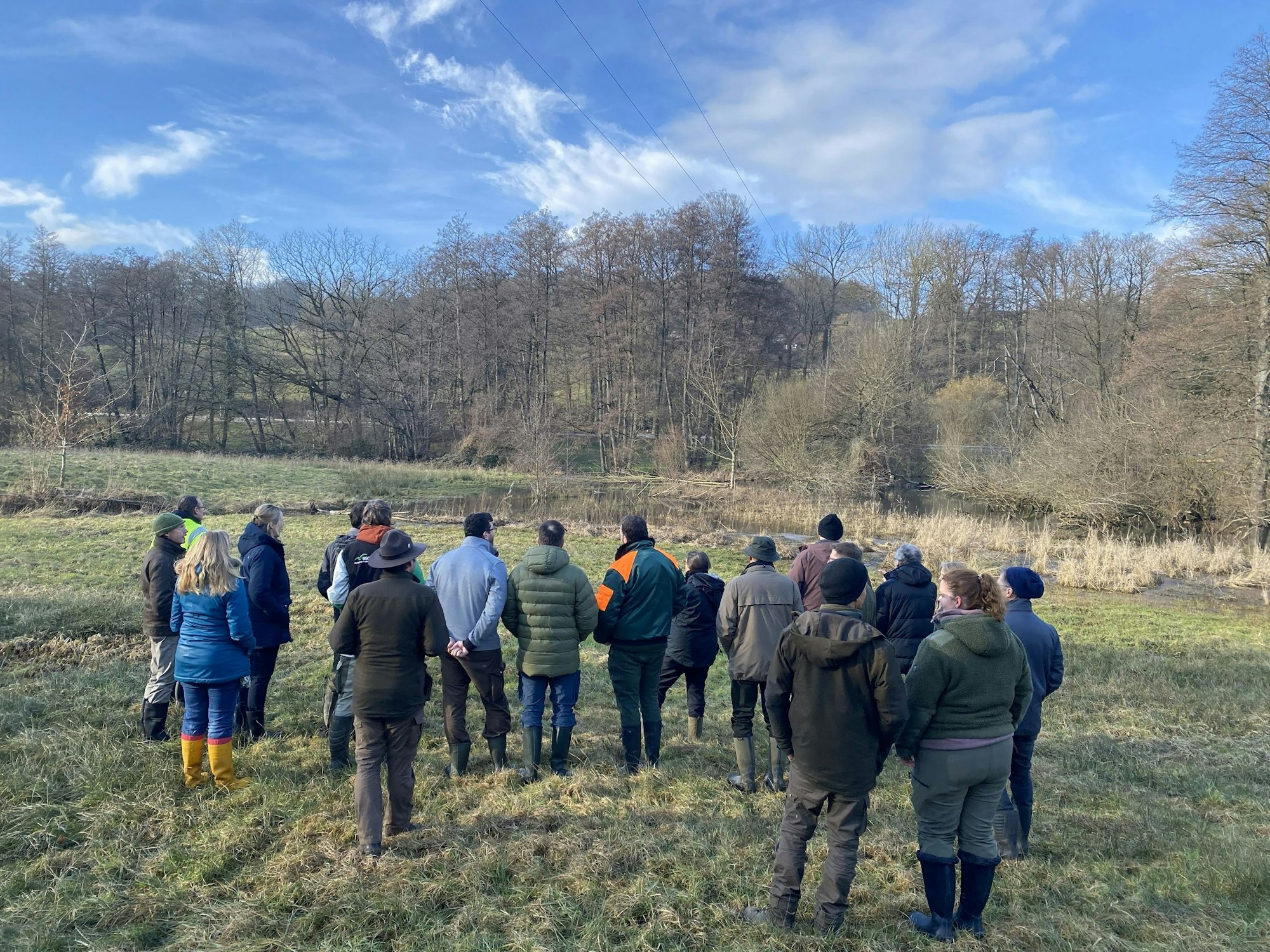 Biberpatinnen und Biberpaten an einer Wasserfläche, die durch die Aktivität eines Bibers entstanden ist.