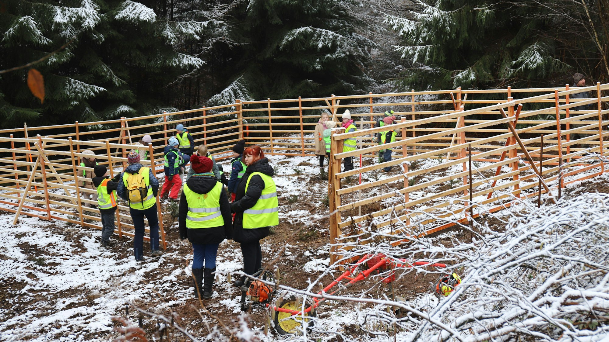 100 Kinder der Gemeinschaftsgrundschule Am Steimel in Uckerath pflanzen in dieser Woche 1000 Bäume im städtischen Wald.