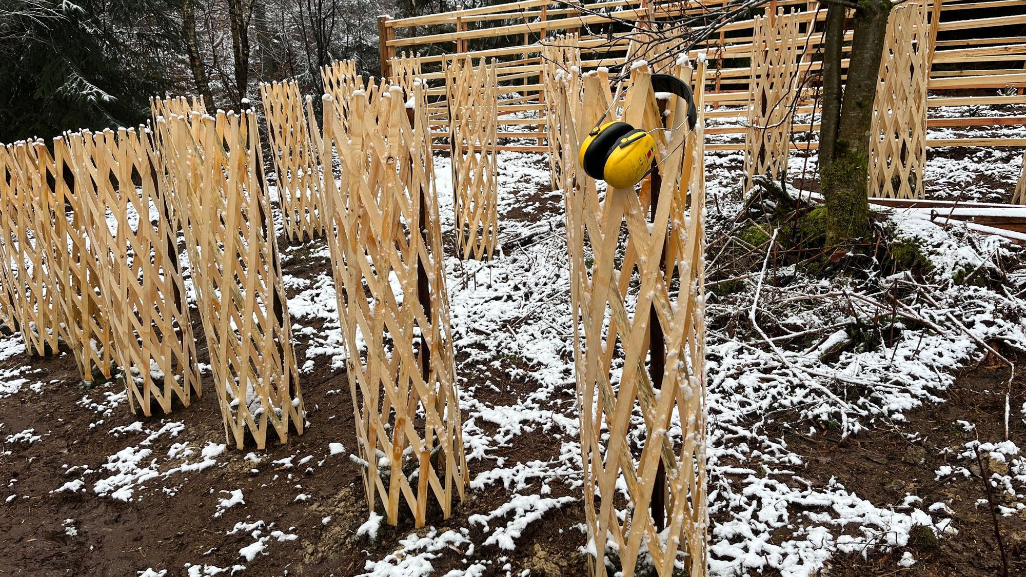 Die jungen Bäume werden mit Wuchshüllen aus Holz geschützt.