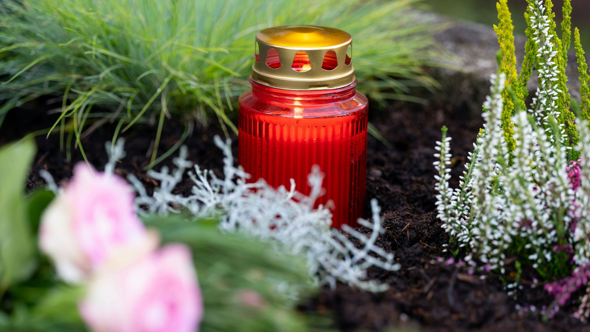 Zwei Rosen und ein Grablicht stehen auf einem Grab auf einem Friedhof. (Symbolbild)