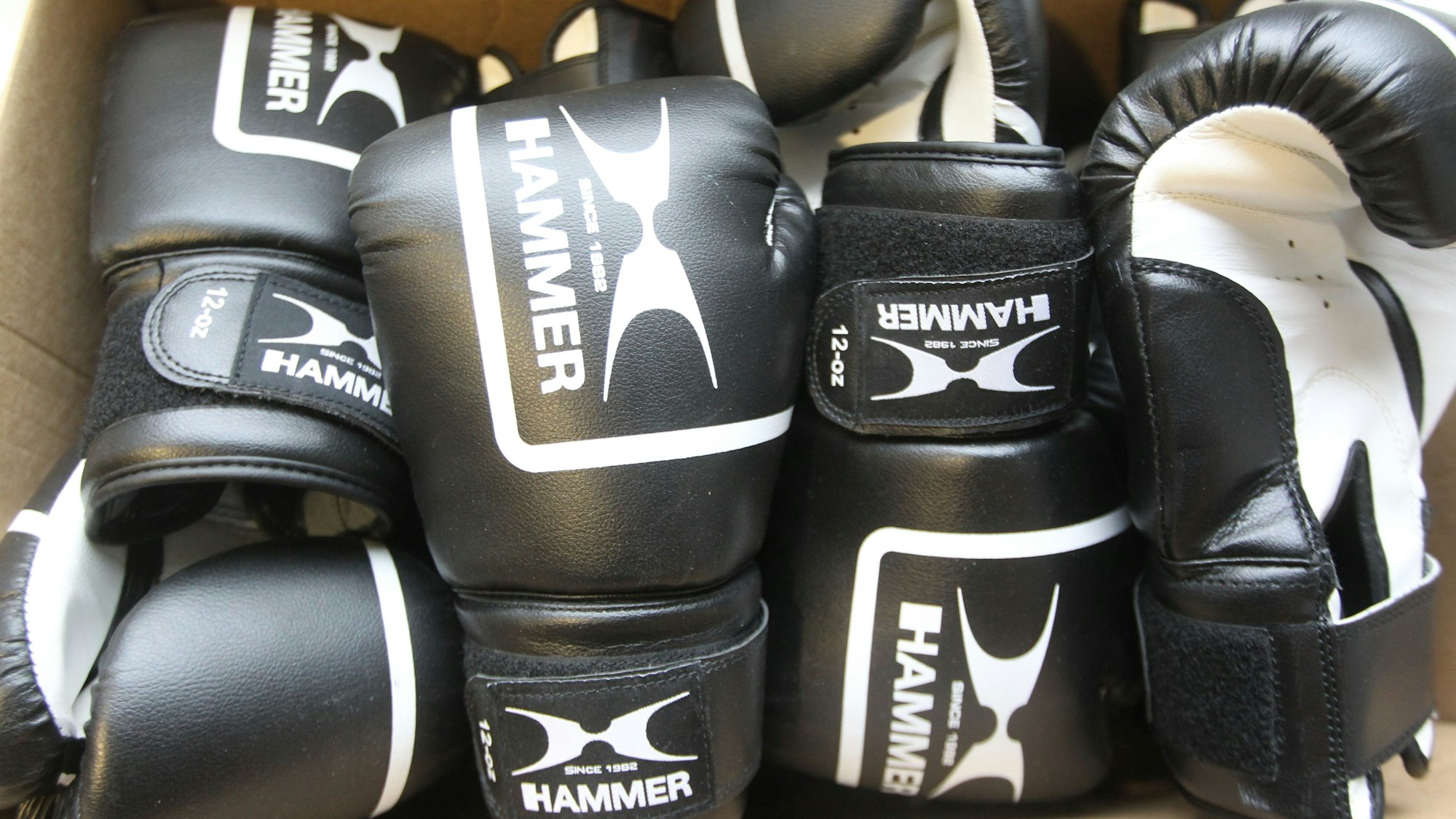 Boxhandschuhe für alle hatte Nikki Adler aus der Aquarena mitgebracht.