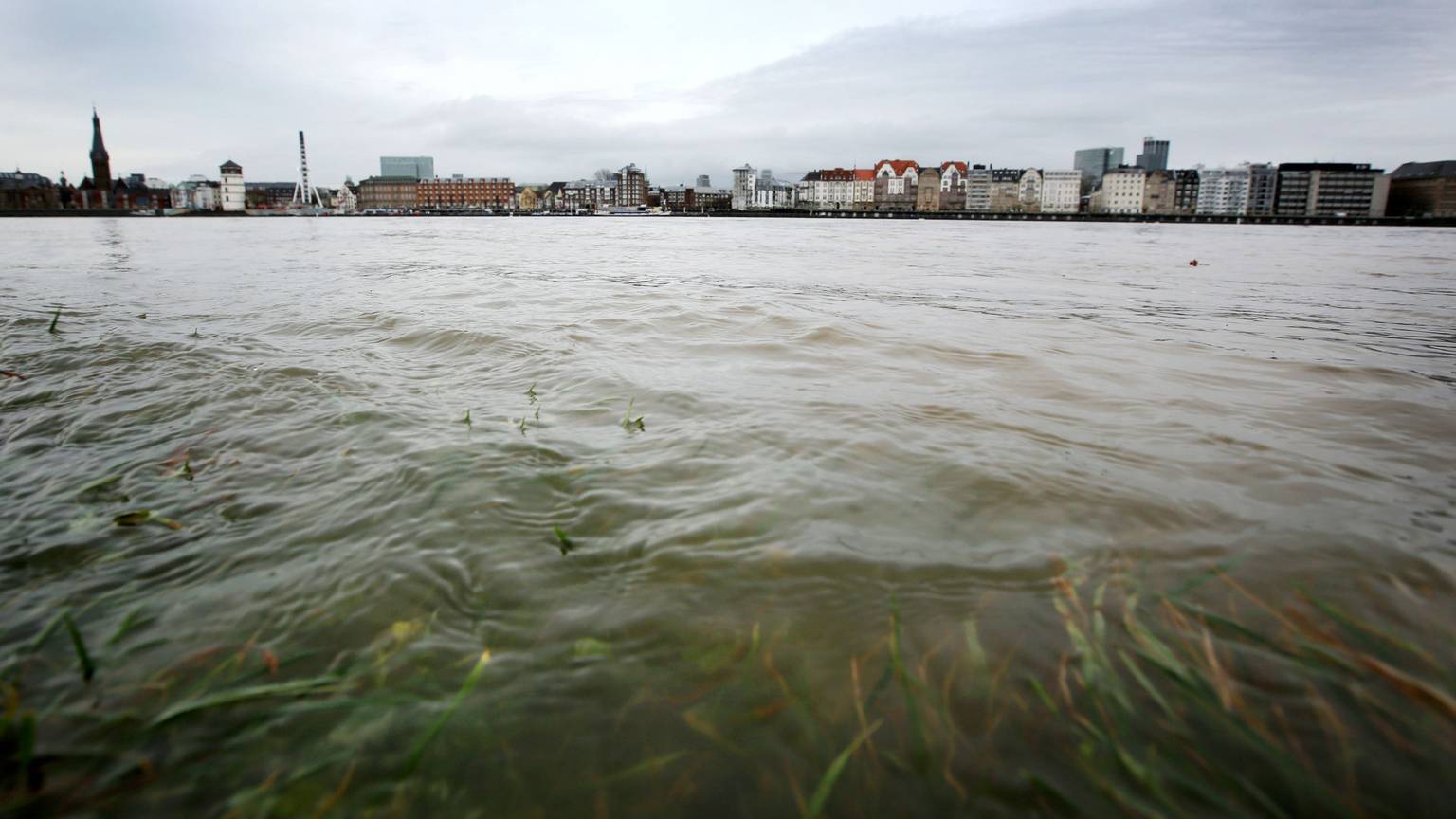 Im Rheinwasser sollen tausende chemische Stoffe sein, von denen die meisten noch nicht bekannt sind.