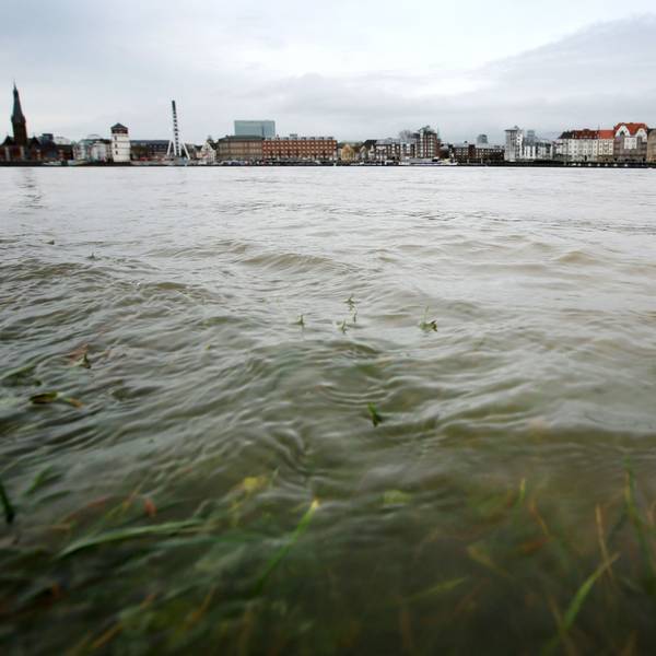 Im Rheinwasser sollen tausende chemische Stoffe sein, von denen die meisten noch nicht bekannt sind.