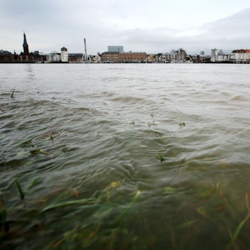 Im Rheinwasser sollen tausende chemische Stoffe sein, von denen die meisten noch nicht bekannt sind.
