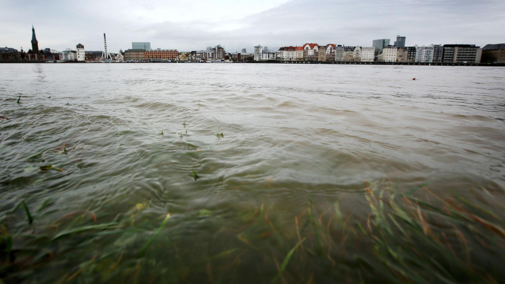 Im Rheinwasser sollen tausende chemische Stoffe sein, von denen die meisten noch nicht bekannt sind.
