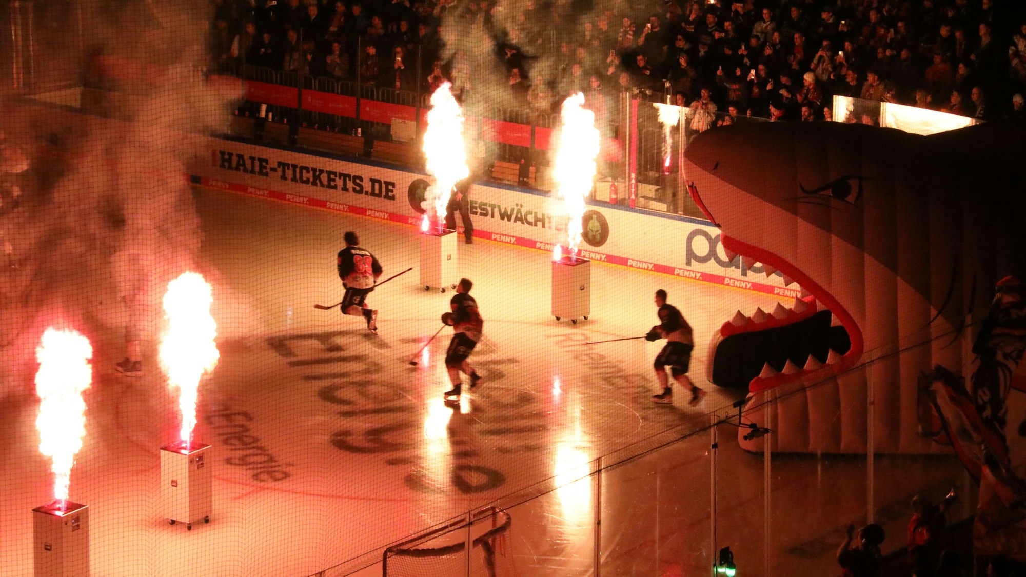 Die Kölner Haie gehen aufs Eis, Flammen schlagen aus Effekt-Säulen.