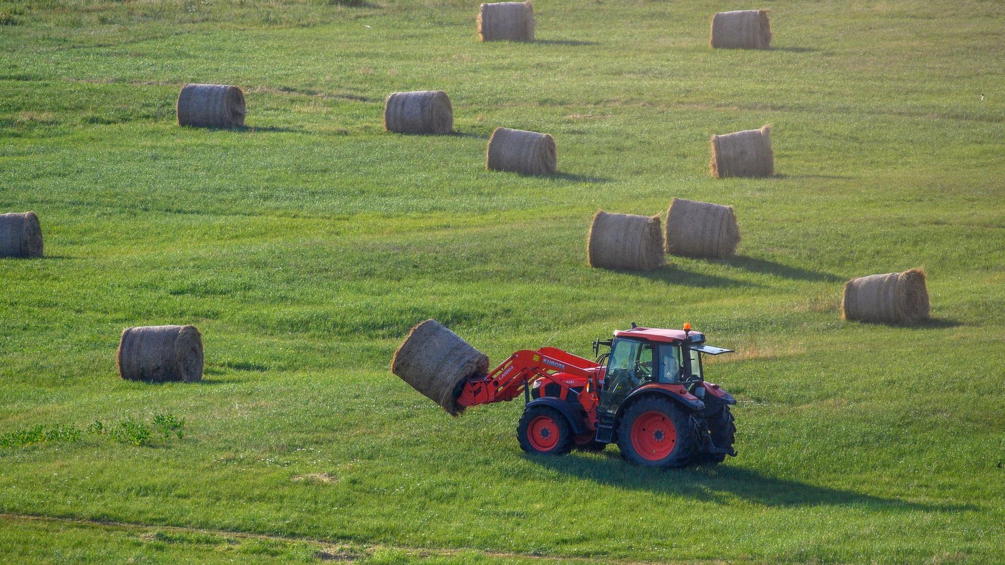Ein roter Tracktor fährt mit einem Heuballen über eine grüne Wiese.