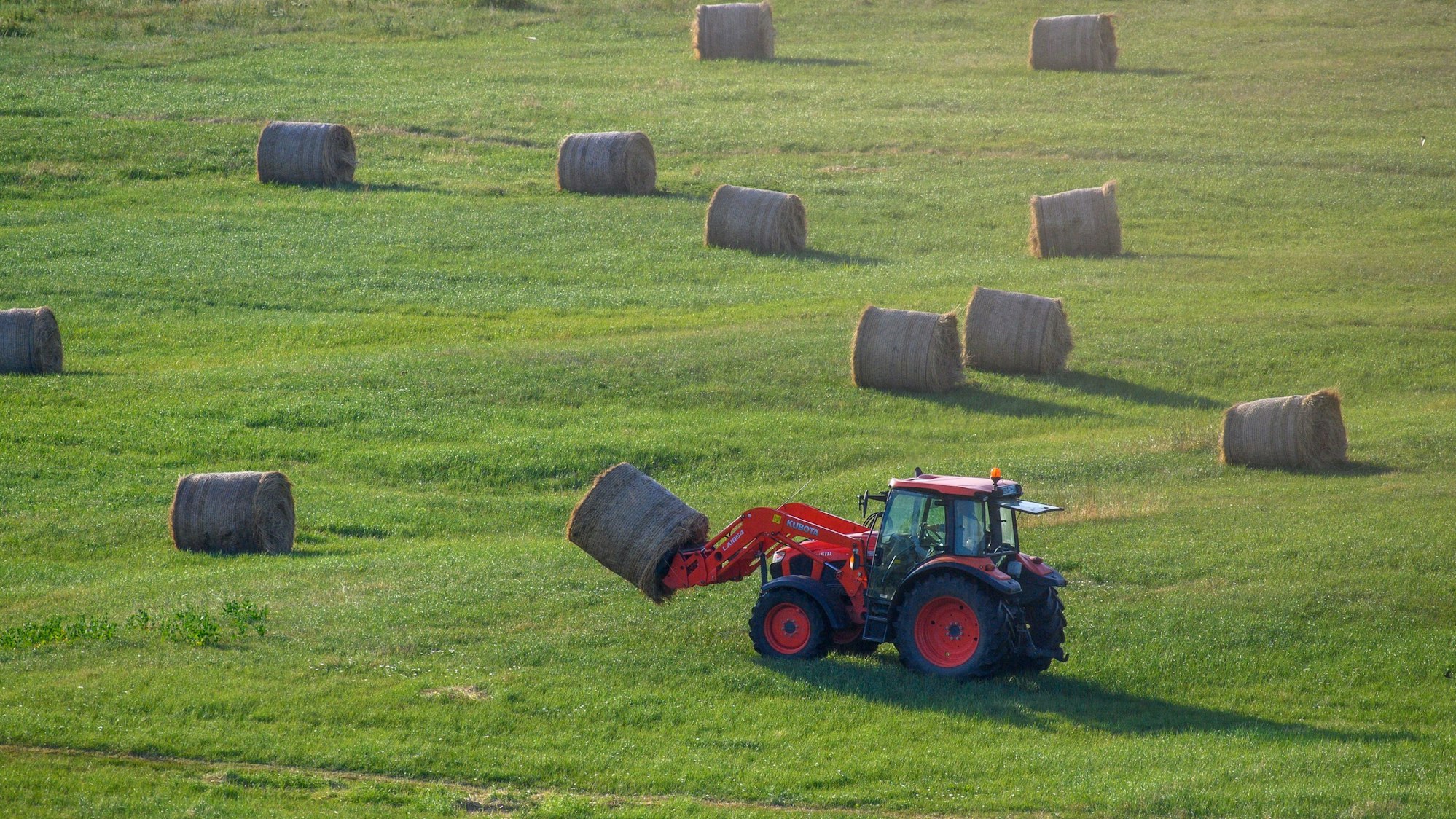 Ein roter Tracktor fährt mit einem Heuballen über eine grüne Wiese.