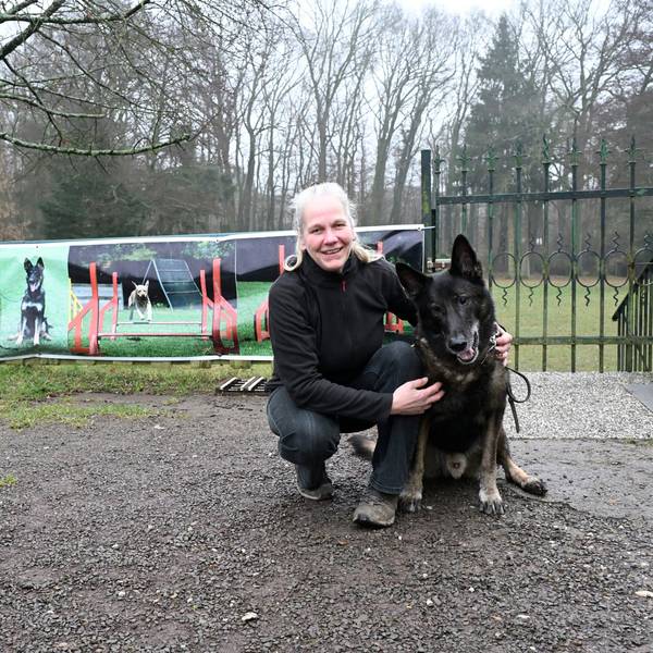 Eine ältere, dunkel gekleidete Frau hockt neben einem dunklen Schäferhund mit grauer Schnauze. Im Hintergrund der Trainingsplatz des Vereins.