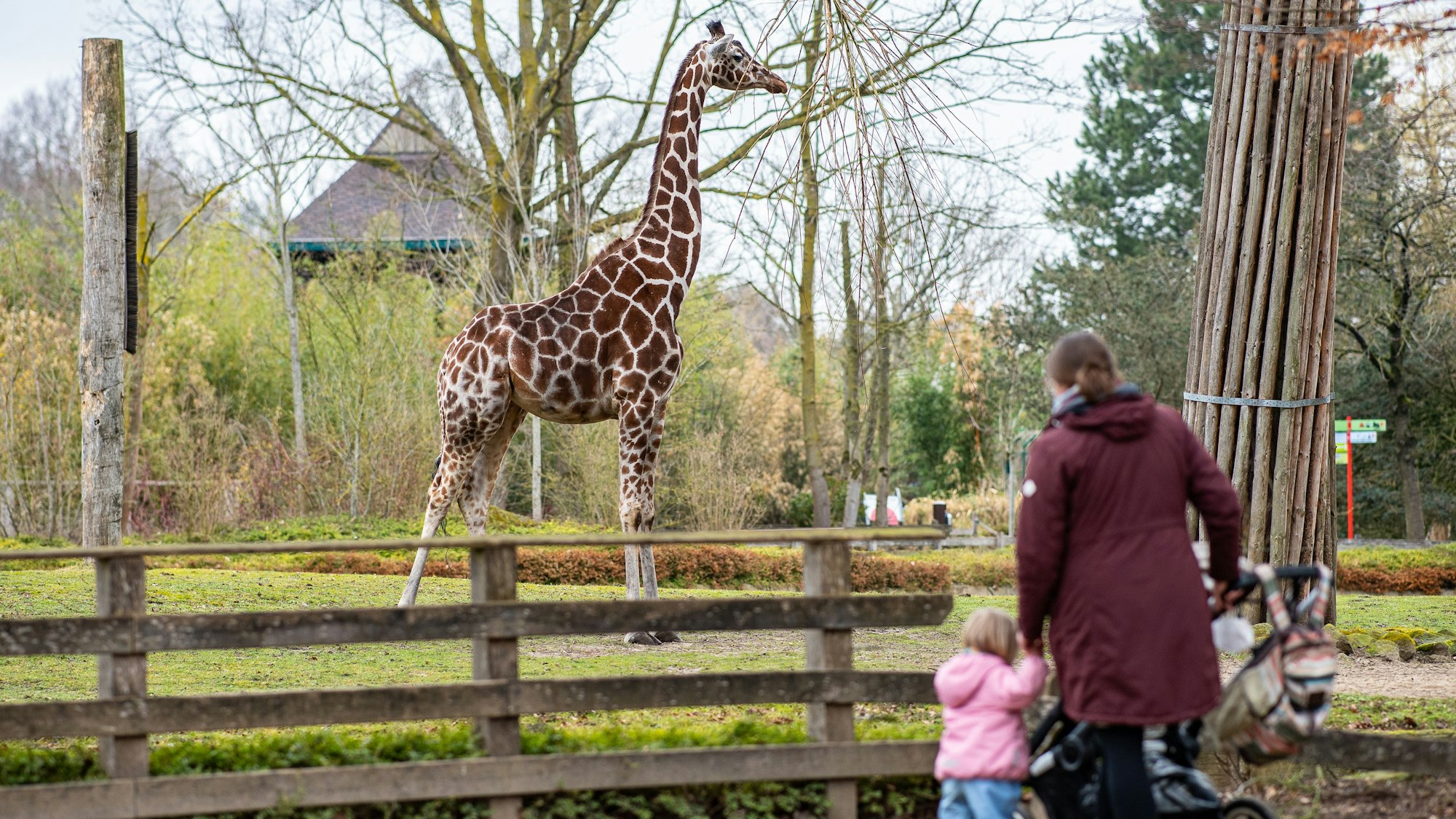 Eine Mutter steht mit ihrer Tochter im Allwetterzoo Münster vor dem Gehege einer Giraffe.