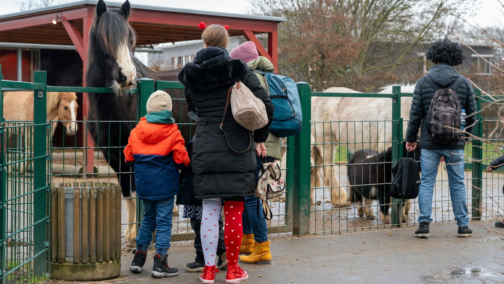 31.01.2026, Hürth: Der Gertrudenhof wird in der jecken Jahreszeit zum Karnevalspark. Foto: Uwe Weiser