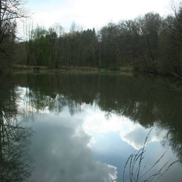 Teich im Eischeider Tälchen