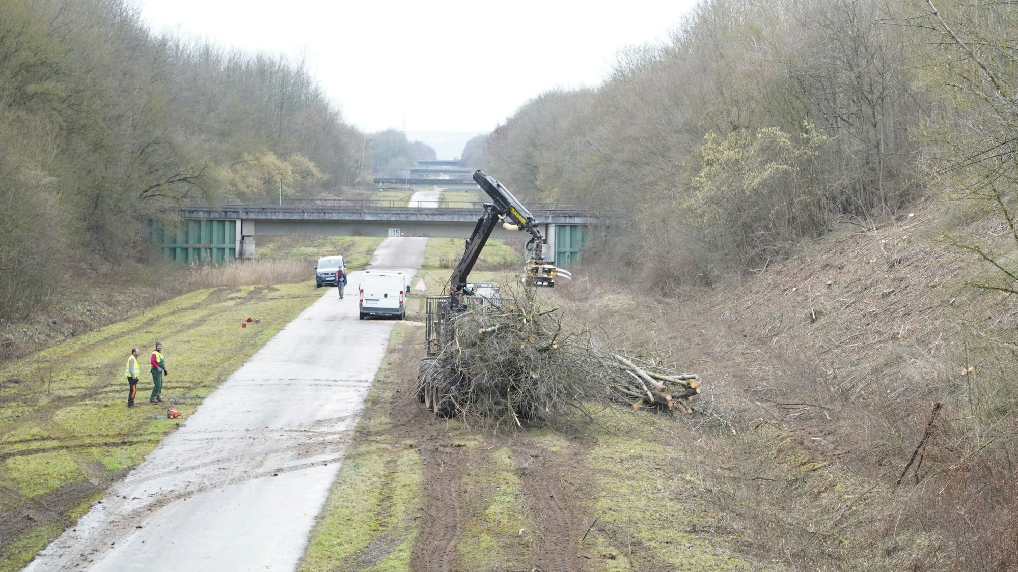 Zu sehen ist die Rodung von Bäumen in einer Böschung.