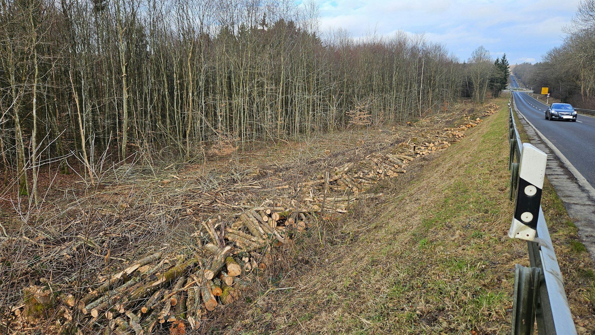 Blick auf die gefällten Bäume, die neben der Bundesstraße 258 liegen.