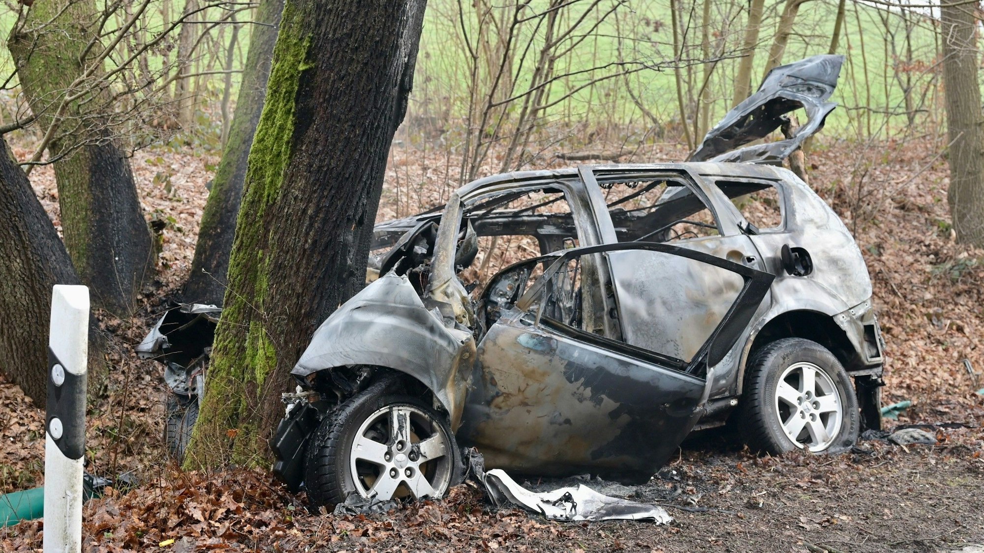 Das Foto zeigt das Autowrack.