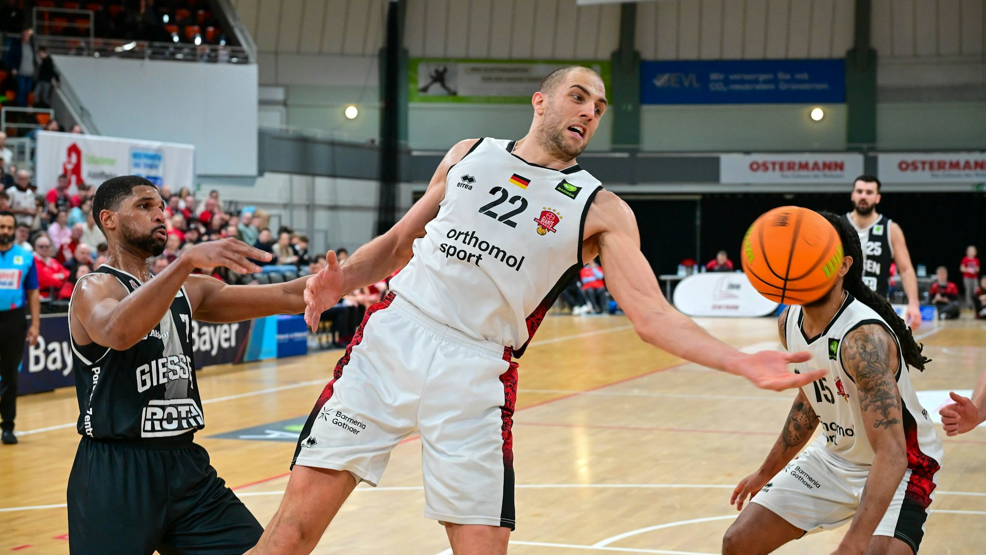 Kyle Castlin, Dennis Heinzmann 21. Spieltag, 2.Bundesliga Pro A, 46ers, Basketball, Basketball Saison 2025/2026, BBL, Deutschland, Bayer Giants Leverkusen - Giessen 46ers, Gießen in schwarz, Leverkusen in weiß, Herren *** Kyle Castlin, Dennis Heinzmann 21 Matchday, 2 Bundesliga Pro A, 46ers, Basketball, Basketball season 2025 2026, BBL, Germany, Bayer Giants Leverkusen Giessen 46ers, Giessen in black, Leverkusen in white, Men