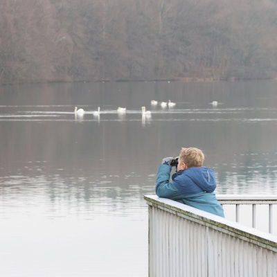Durch sein Fernglas beobachtet der neunjährige Noomi aus Reichshof gespannt eine Gruppen Höckerschwäne.