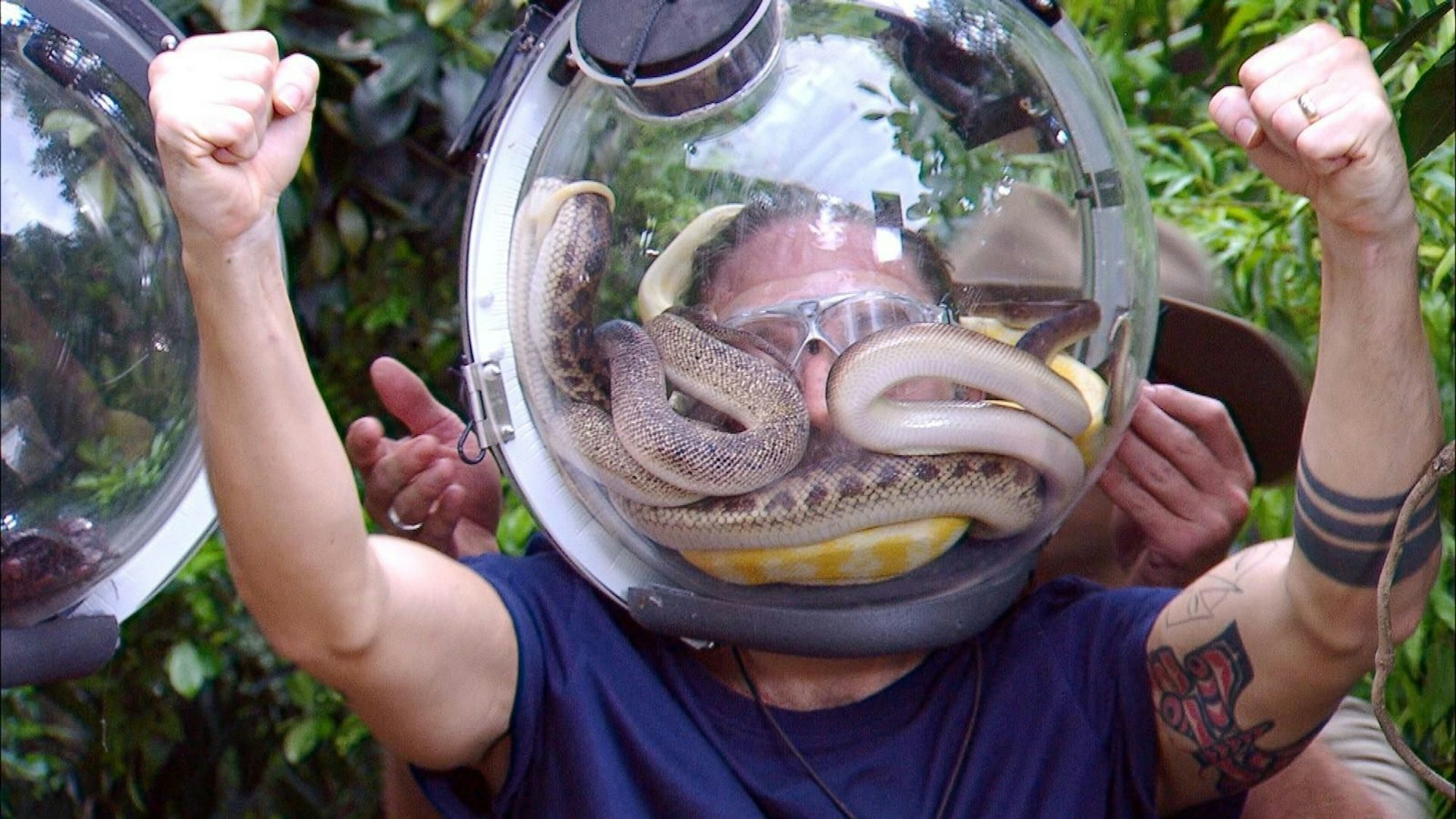 Souveräne Leistung: Auch bedrängt von gleich mehreren Schlangen behielt der Musiker die Nerven. Gil holte in der Dschungelprüfung die volle Punktzahl! (Bild: RTL)