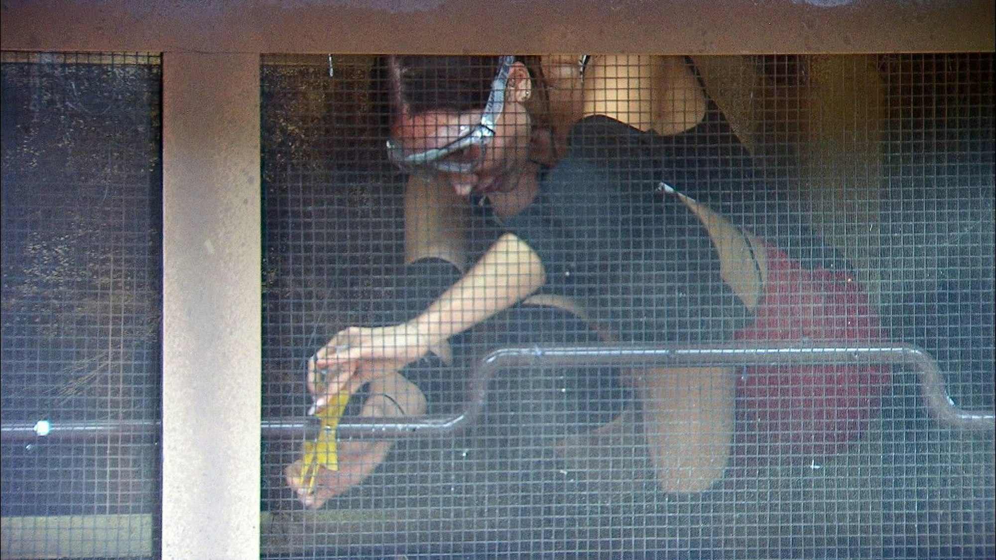 Auch das Reality-Sternchen schlug sich bravourös in ihrer finalen Prüfung. Wie Gil holte Samira das Maximum an Sternen heraus. Respekt! (Bild: RTL)