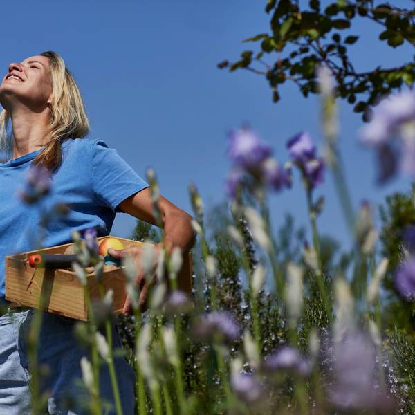 Smiling woman holding a crate in allotment garden