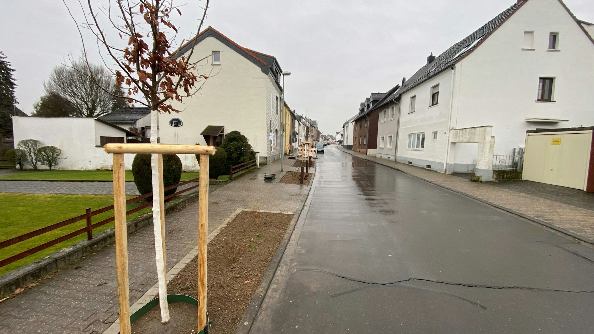 Zu sehen sind neue Beete und Bäume an einer Straße.