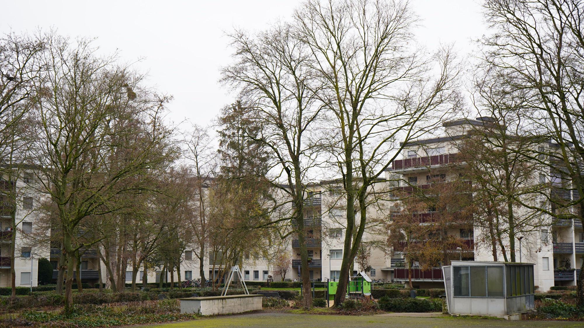Das Bild zeigt mehrere Hochhäuser, davor einige Bäume.