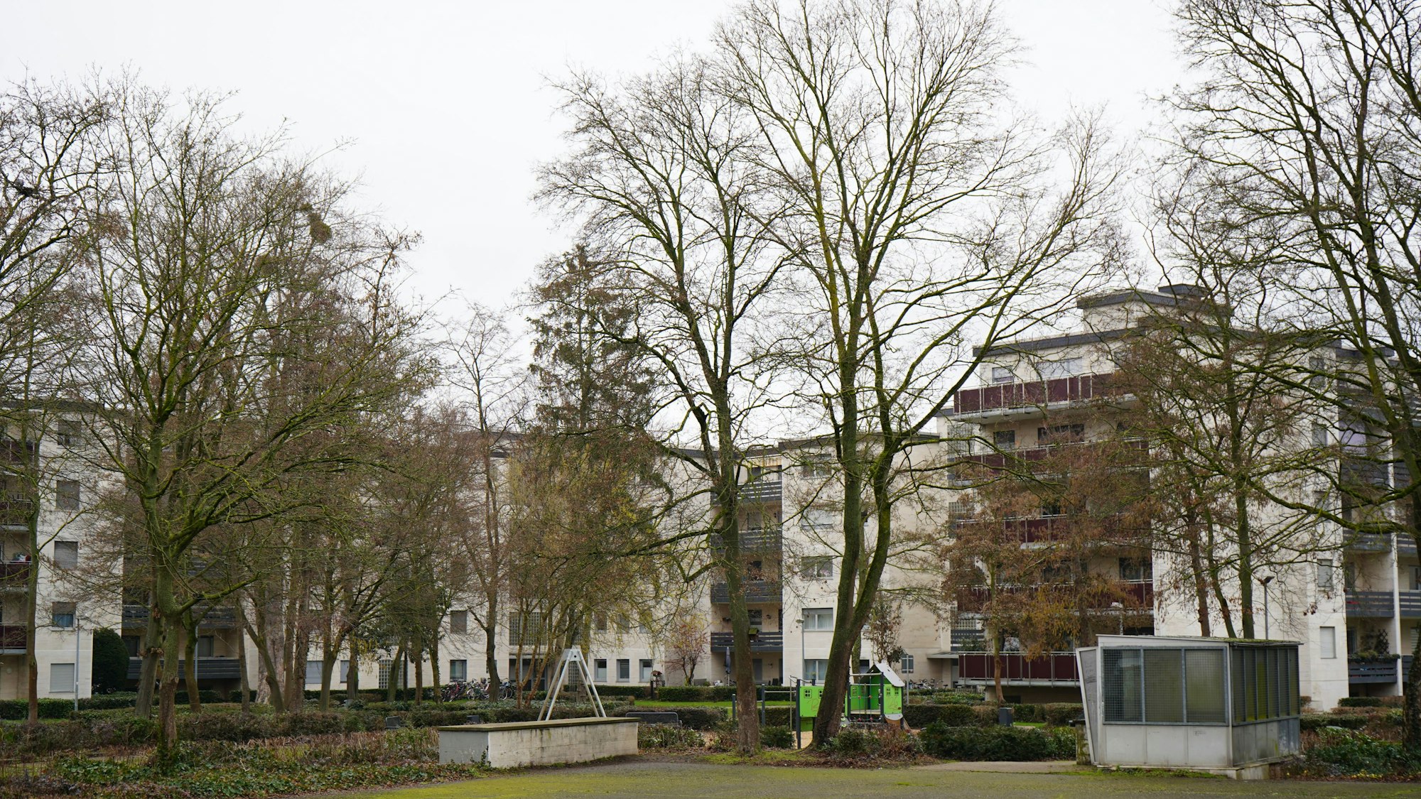 Das Bild zeigt mehrere Hochhäuser, davor einige Bäume.