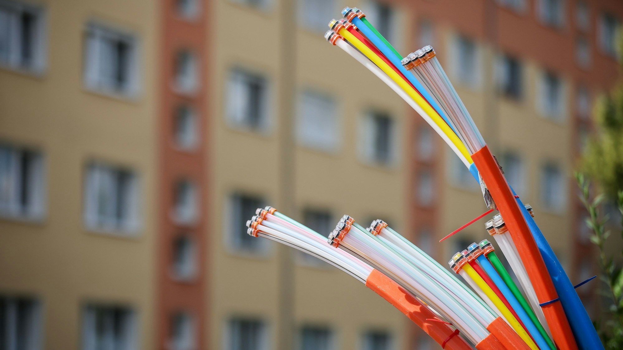 Aus dem Sockel eines Schaltschranks ragen Glasfaserkabel heraus.