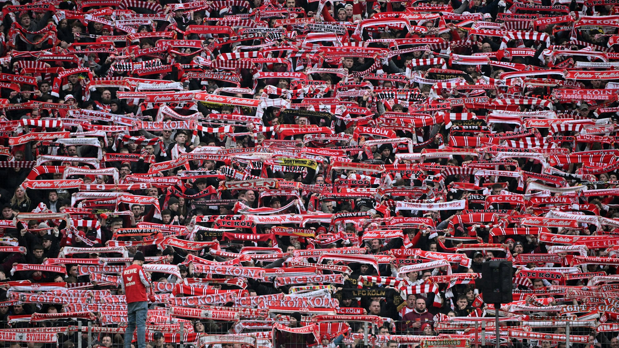 FC-Fans halten Schals in die Höhe.
