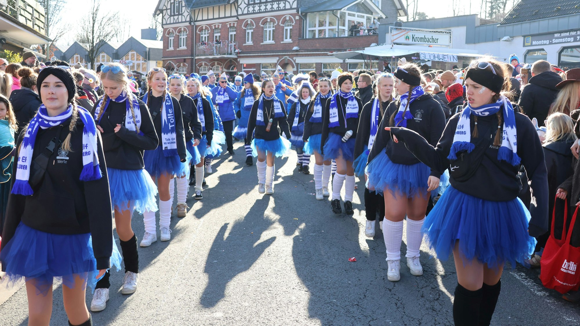Eine Gruppe bei einem Karnevalszug.