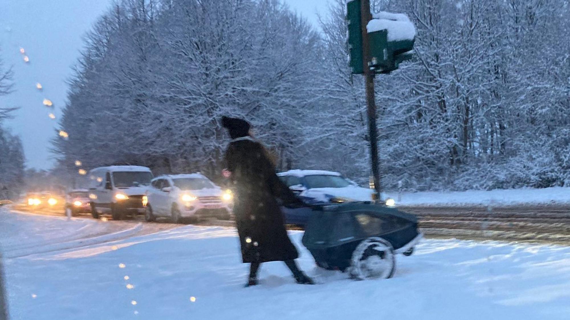 Ein kurzes Gastspiel gab der Winter am Tulpensonntag.