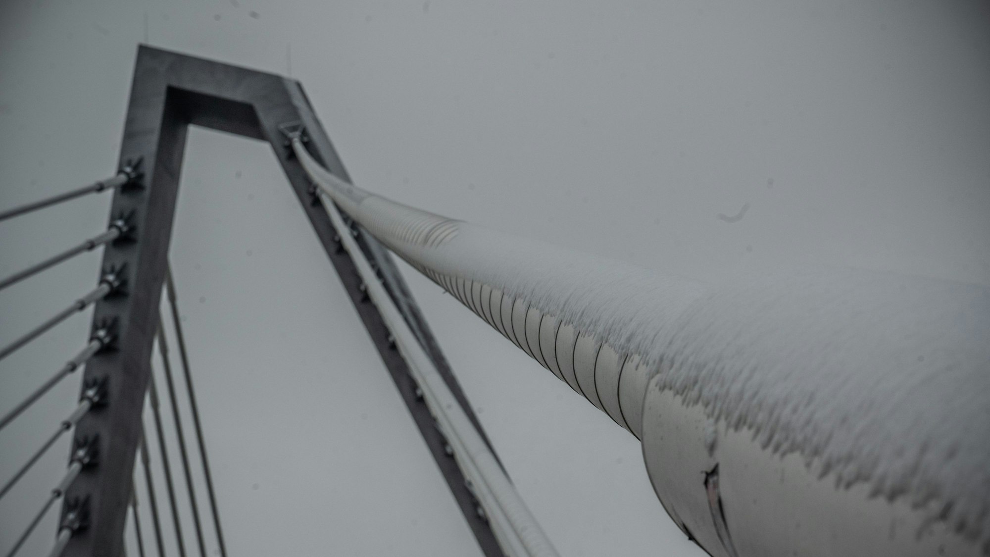 Schnee liegt auf den Tragseilen der Leverkusener Rheinbrücke (Foto vom 6. Januar).