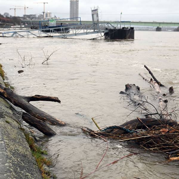 17.02.2026 Köln. Wetter. Winter 2026. Der Rhein führt Hochwasser. In den nächsten Tagen soll der Pegel bei rund 6 Metern KP liegen. Ab 6,20m kommt es zu Einschränkungen für die Schifffahrt. Aktuell liegt der Pegel bei 5,80 m. Foto: Alexander Schwaiger