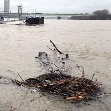 17.02.2026 Köln. Wetter. Winter 2026. Der Rhein führt Hochwasser. In den nächsten Tagen soll der Pegel bei rund 6 Metern KP liegen. Ab 6,20m kommt es zu Einschränkungen für die Schifffahrt. Aktuell liegt der Pegel bei 5,80 m. Foto: Alexander Schwaiger