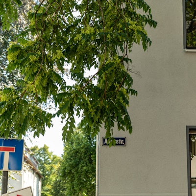 Das Bild zeigt eine Fahne mit der Aufschrift „Kein Veedel für Rassismus“.