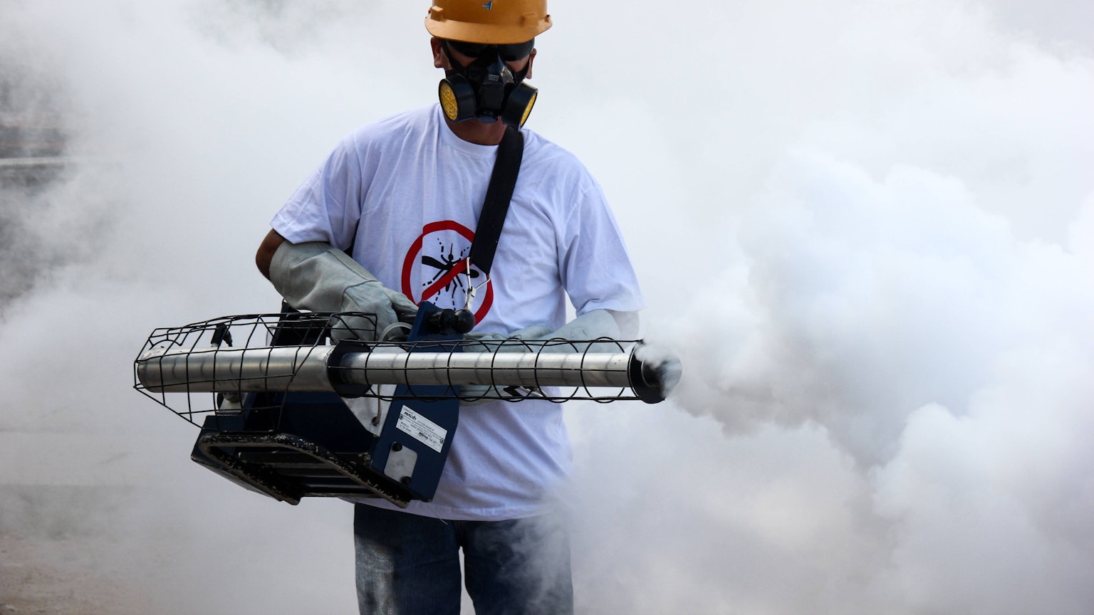 Weltweit wird die asiatische Tigermücke bekämpft, hier in Rio de Janeiro. Neben dem Chikungunyafieber kann die Mücke auch das Dengue- oder Zika-Virus übertragen. (Archivbild)