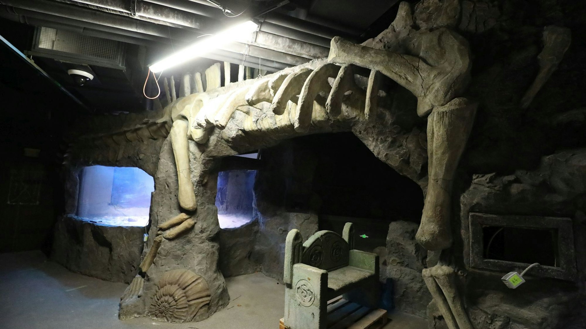 Einblick ins ehemalige Sealife.