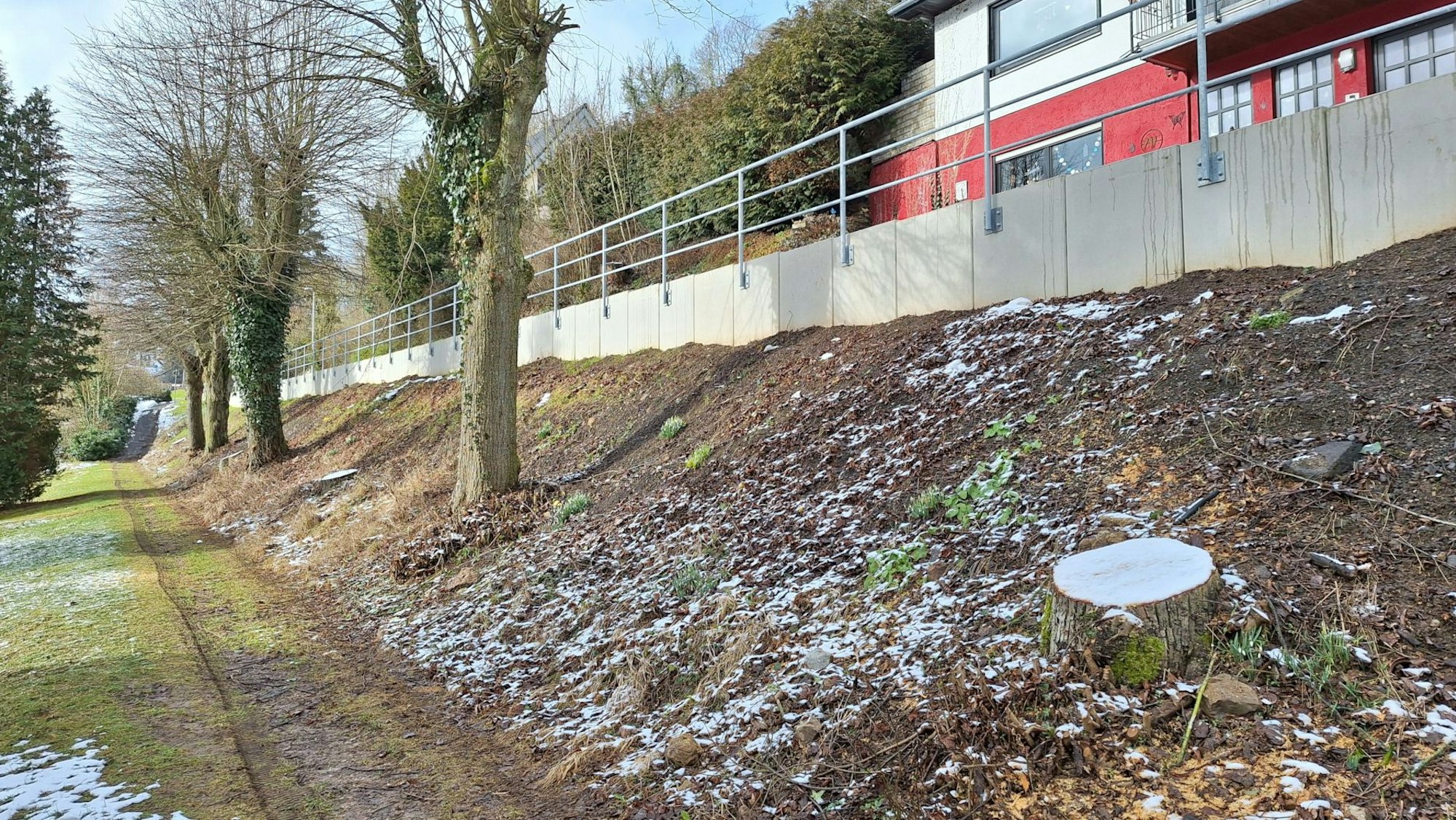 Die Baumreihe hat Lücken, die Standorte der Bäume, die mittlerweile gefällt wurden, sind noch zu erkennen.