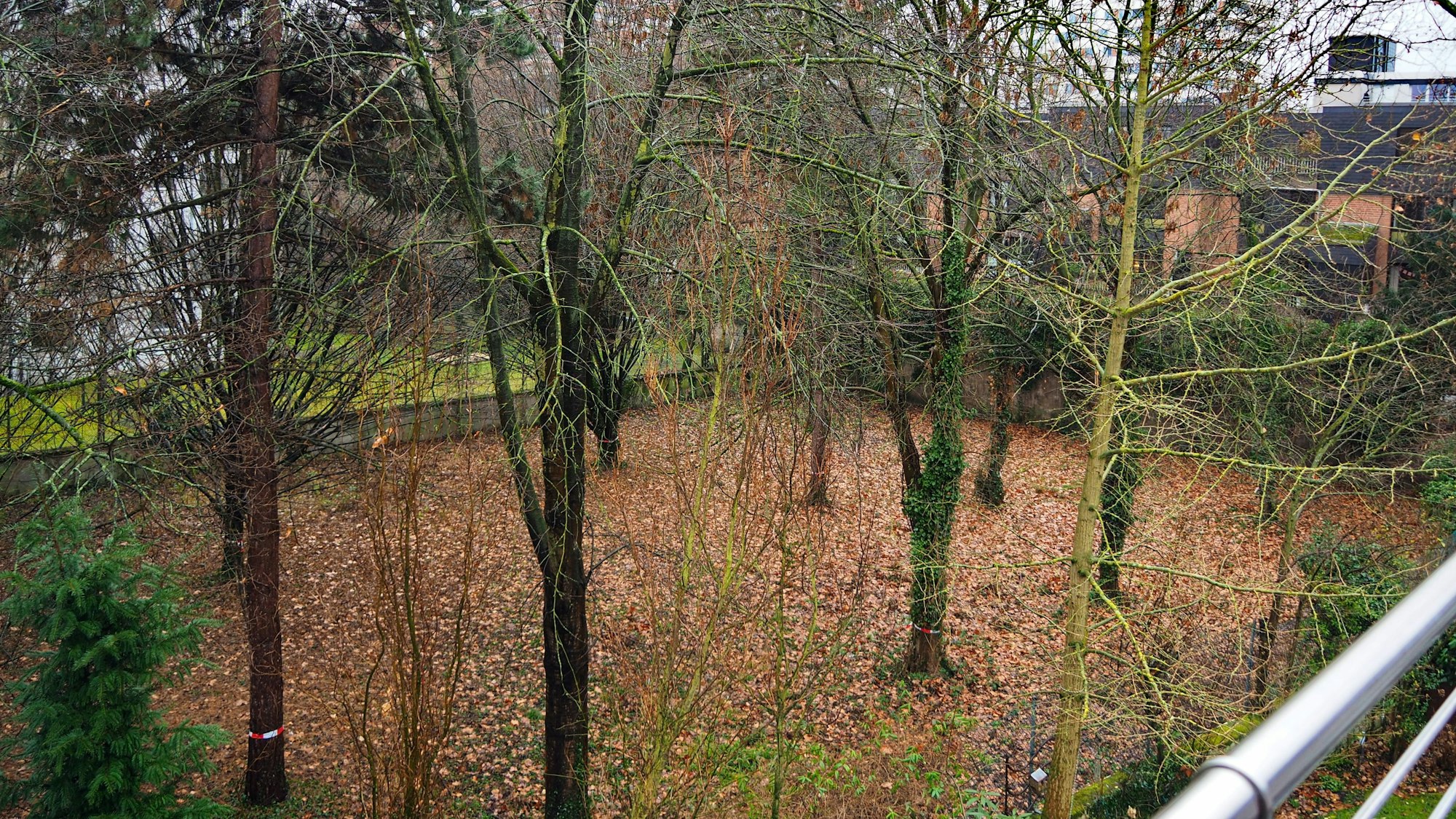 Von einem Balkon aus ist ein viereckiges Grundstück zu sehen, auf dem Bäume wachsen.