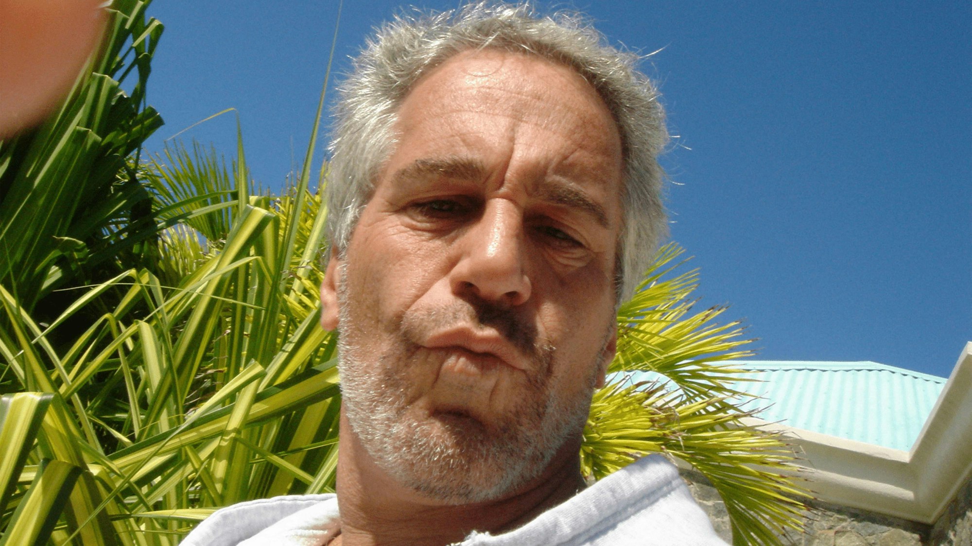 Jeffrey Epstein machte oft Selfies von sich