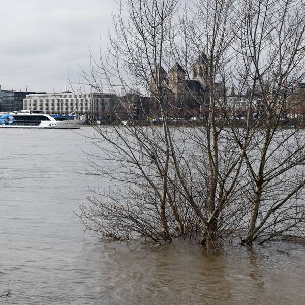 Der Rhein führt Hochwasser. Der Pegel hat 6,30 Meter erreicht.