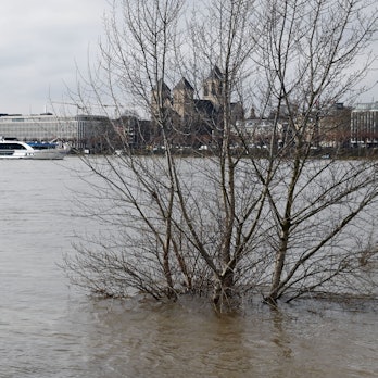 Der Rhein führt Hochwasser. Der Pegel hat 6,30 Meter erreicht.